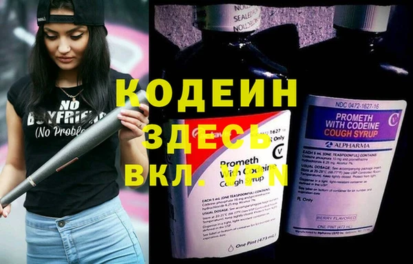 мдпв Киренск