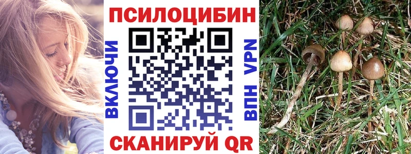 Галлюциногенные грибы MAGIC MUSHROOMS  сколько стоит  blacksprut маркетплейс  Касли 